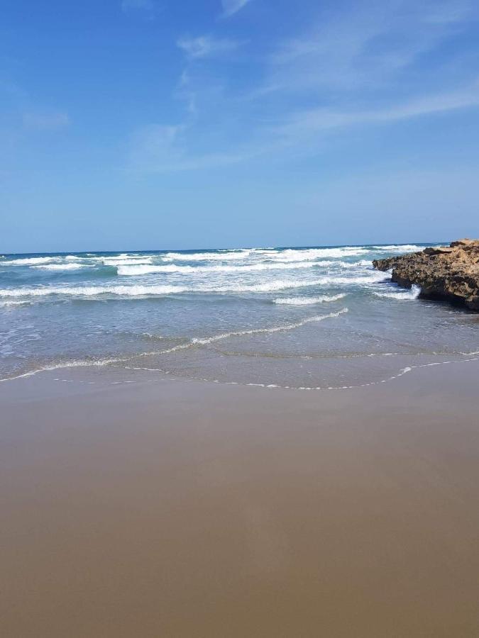 فندق Casa La Florida أوريويلا المظهر الخارجي الصورة